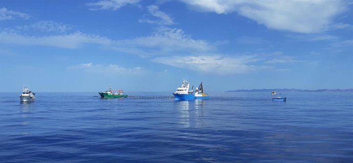 Balfegó finaliza la campaña de la pesca 2021 en el puerto de l'Ametlla de Mar (Tarragona) / BALFEGÓ
