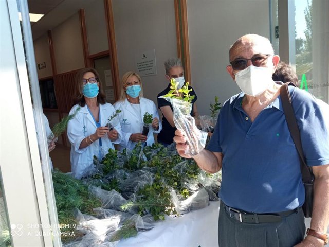 Reparto de plantas en el Hospital