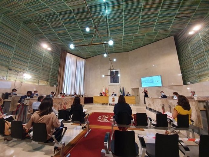 Archivo - Salón de plenos del Ayuntamiento de Almería