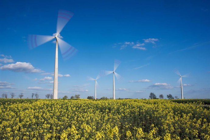 Archivo - Parque eólico de Acciona en Polonia