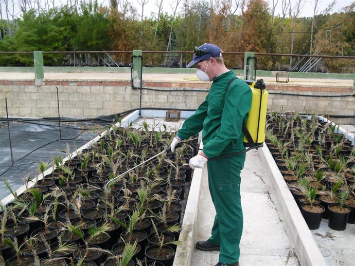 Archivo - Trabajador de uno de los centros especiales de empleo que recibió las ayudas el pasado año, Fundown Plant