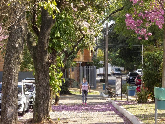 Una calle de Asunción, capital de Paraguay
