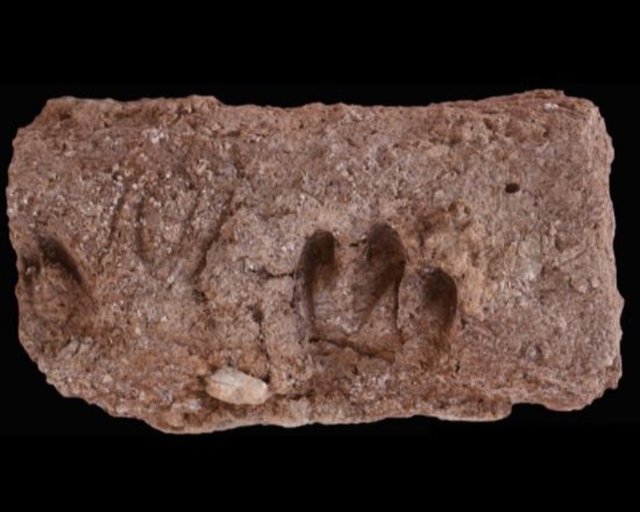 Sangría de varios cascos de cabra en un ladrillo del sitio arqueológico de Ganj Dareh.