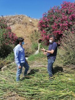 Ismael Sánchez en Guillena