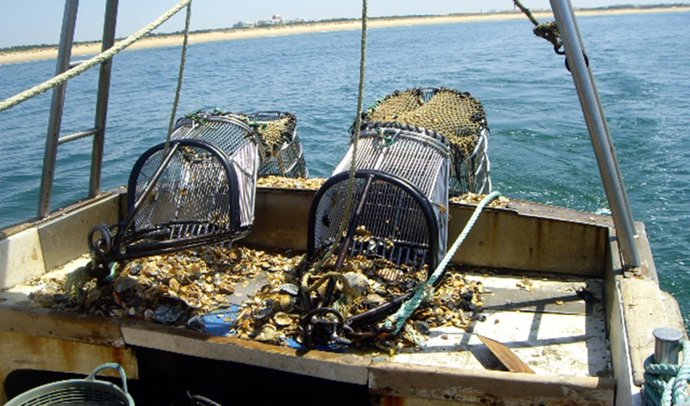 Archivo - Pesca, barcos pesqueros