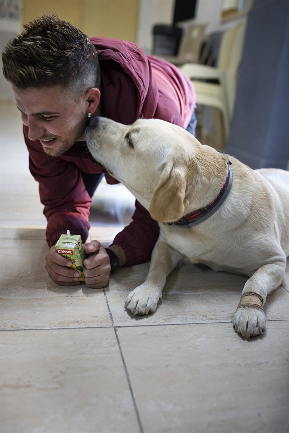Archivo - BIENESTAR ANIMAL FIRMA UN CONVENIO QUE FOMENTA LA REINSERCIÓN SOCIAL DE INTERNOS DE PICASSENT MEDIANTE EL CUIDADO DE PERROS ABANDONADOS