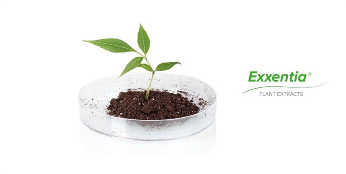 Archivo - Producto Exxentia de Biosearch