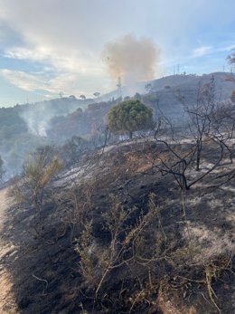El incendio en Collserola