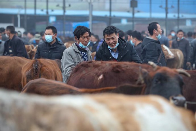 Archivo - 04 March 2021, China, Fenggang: People look at cows as over 1200 cows are being sold in the livestock market in Fenggang. Photo: -/TPG via ZUMA Press/dpa
