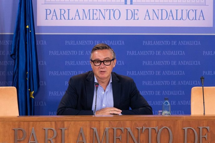 El portavoz de Vox en el Parlamento de Andalucía, Manuel Gavira, en una imagen de 2 de junio.