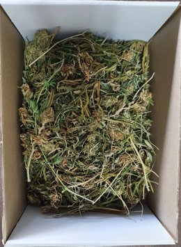 La Guardia Civil ha detenido a una persona por un delito contra la salud pública en un domicilio de Moral de Calatrava