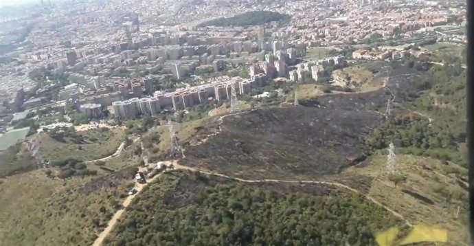 Imagen de la zona quemada por el incendio en la carretera alta de Roquetes, en el Parque de Collserola (Barcelona)