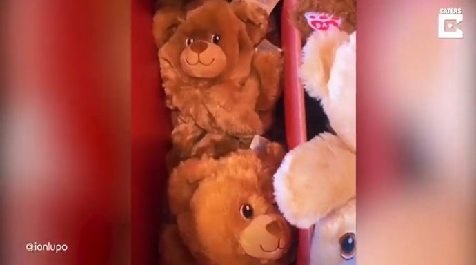 Un joven de 19 años tiene un detalle con su novia regalándole un oso de peluche personalizado