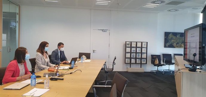 Amigo (C) preside, de forma telemática, la reunión del Pleno del Consejo General de Empleo.