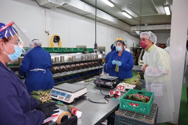 El consejero de Agricultura, Agua y Desarrollo Rural, Francisco Martínez Arroyo, durante la visita a la envasadora de Explotaciones Agrícolas Hermanos Urbina