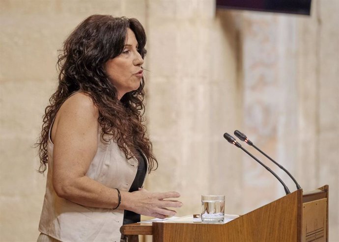 La consejera andaluza de Igualdad, Políticas Sociales y Conciliación, Rocío Ruiz, en el Pleno del Parlamento.