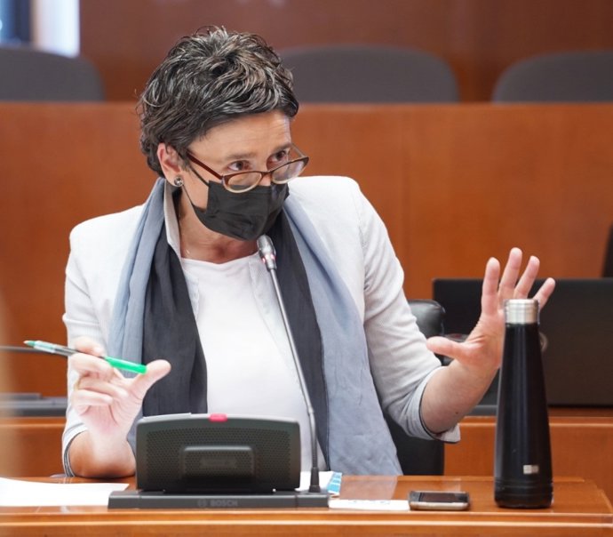 La diputada del PP en las Cortes de Aragón, Ana Marín.