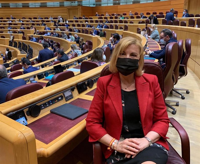 La portavoz de la Comisión de Discapacidad en el Senado, Violante Tomás