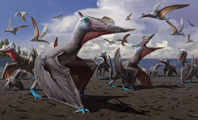 Ilustración de la nueva especie de pterosaurio descubierta en China