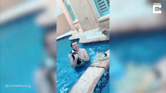 Este corgi de tres meses se llevó el susto de su vida al caer al agua de una piscina mientras jugaba