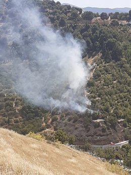 Incendio forestal declarado en el paraje Río Darro de Granada