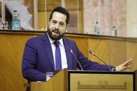 El Parlamento andaluz rechaza el indulto a condenados por el procés con el voto en contra de PSOE y Adelante