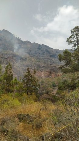 Declarado un conato de incendio cerca de la Presa del Mulato (Gran Canaria)