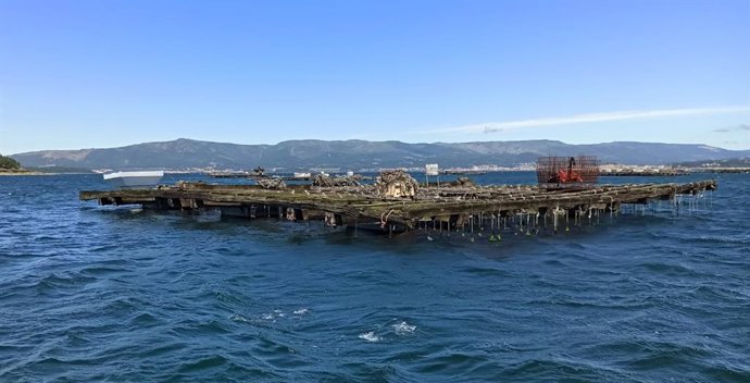 Archivo - Batea de mejillones en A Illa de Arousa