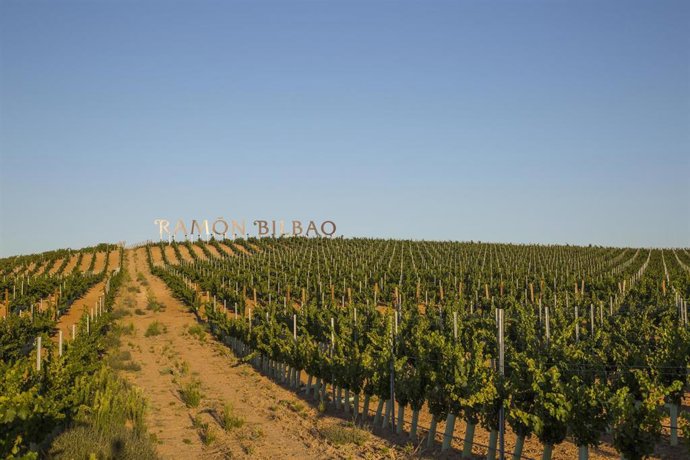 Finca de Ramón Bilbao , Las Amedias