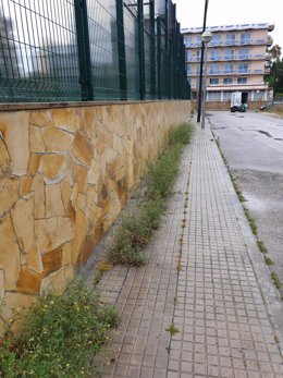 Malas hierbas creciendo en la acera en la calle Mar Negre de Palma.