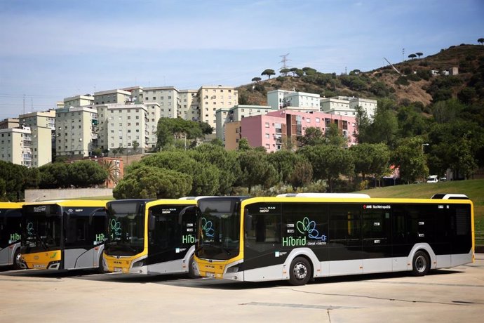 Los nuevos buses híbridos que el AMB ha incorporado a la flota del Barcelons Nord.