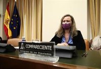 Rosell asegura que "era previsible" el repunte de la violencia de género al término del Estado de Alarma