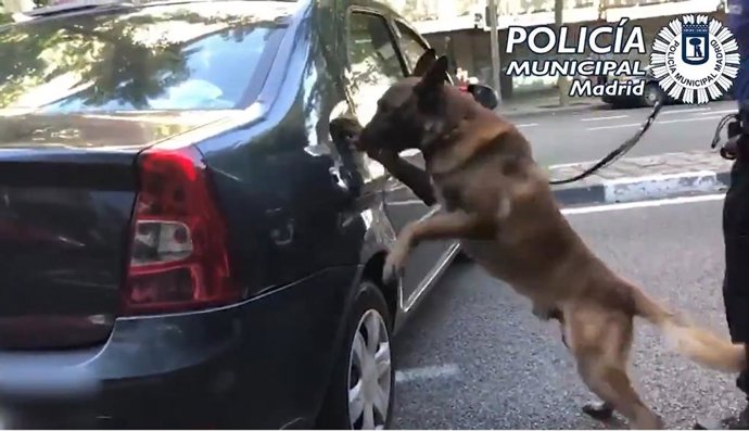 Archivo - Dos detenidos que escondían la cocaína en la tapa de la gasolina del coche en Madrid