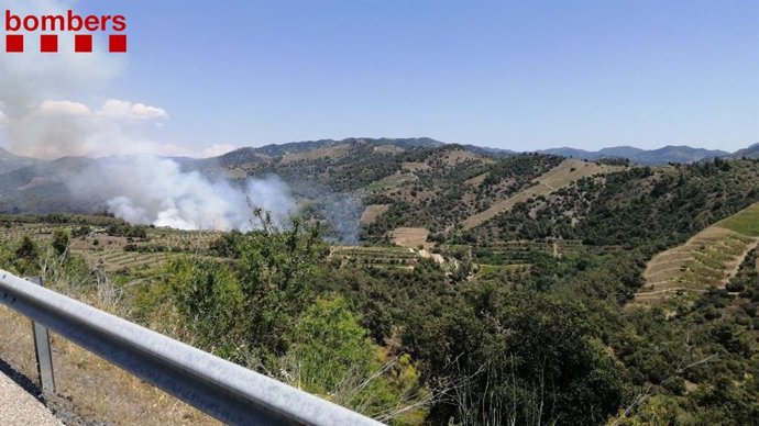 Bombers treballen en un incendi a Gratallops (Tarragona)