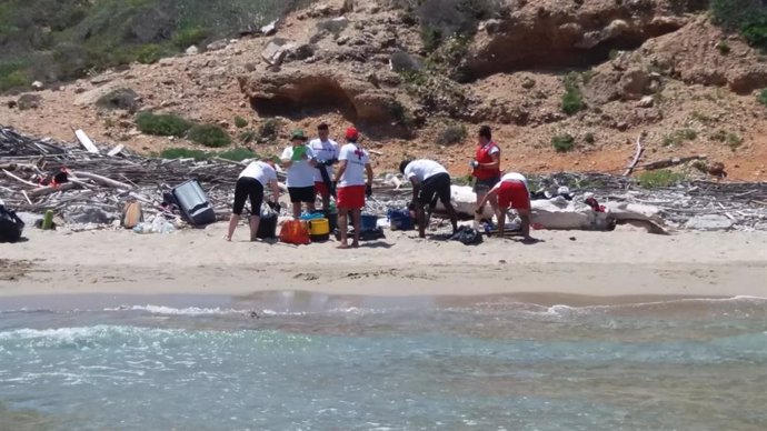 Voluntarios de Cruz Roja participan en una jornada de limpieza de playas en el Parque Nacional de Cabrera