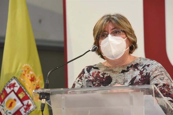 Archivo - Granada.- Coronavirus.- La Diputación presenta 59 proyectos estratégicos a los fondos de recuperación y resiliencia