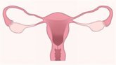 Foto: Una investigación internacional asocia la flora vaginal alterada con mayor riesgo de aborto y menor tasa de embarazo