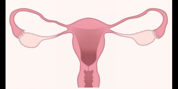 1. Una investigación internacional asocia la flora vaginal alterada con mayor riesgo de aborto y menor tasa de embarazo