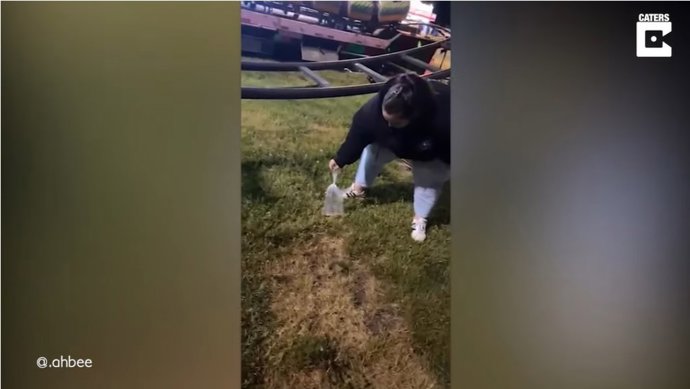 Dos adolescentes de 15 y 18 años rescatan a un pez que un grupo de jóvenes había tirado desde una noria