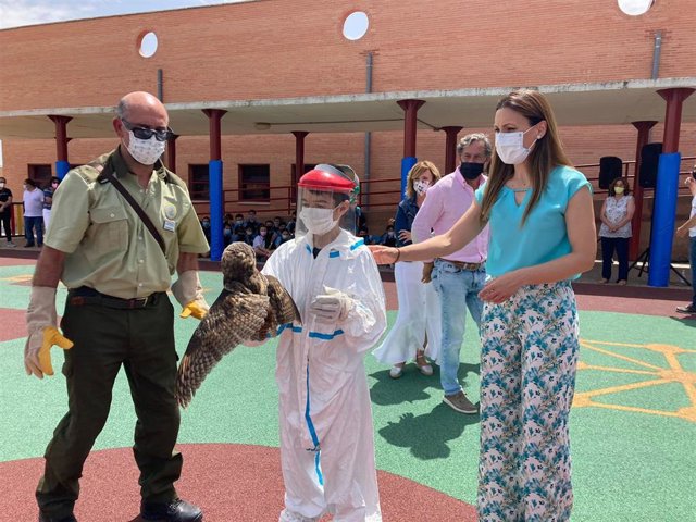 Actividad en el Veracruz