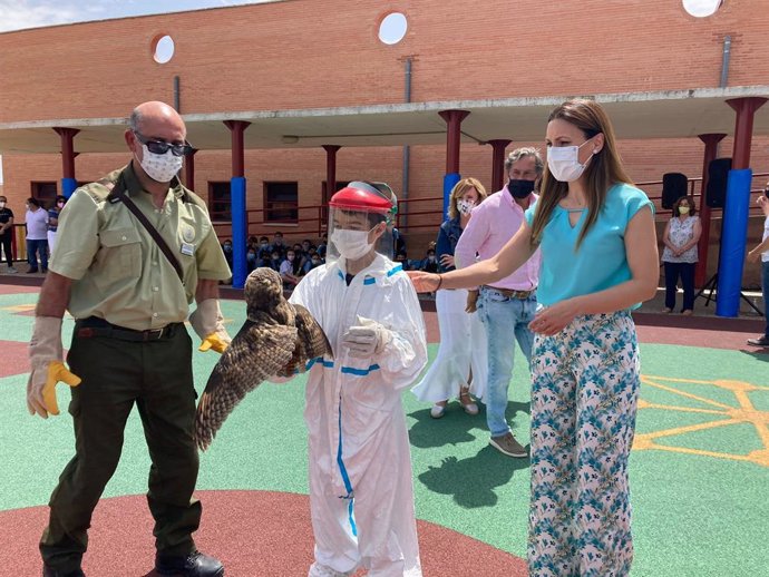 Actividad en el Veracruz