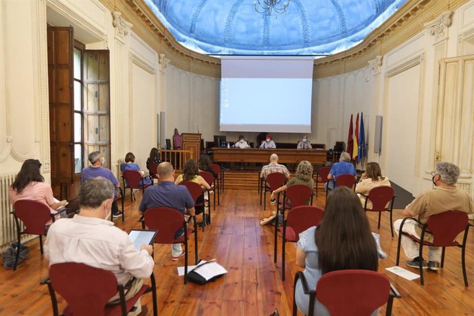 Reunión del Consejo Navarro de Salud para analizar la influencia de la pandemia en el servicio sanitario