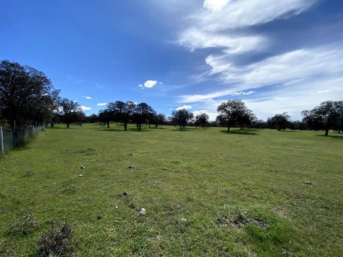 Imagen de una finca.