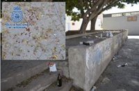 En libertad con cargos cuatro de los 14 detenidos por la riña tumultuaria en un botellón en Almería