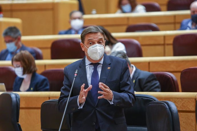 El ministro de Agricultura, Pesca y Alimentación, Luis Planas, interviene en una sesión de control al Gobierno, a 8 de junio de 2021, en el Senado, Madrid, (España). La sesión, marcada por la ausencia del presidente del Gobierno debido a su viaje oficia