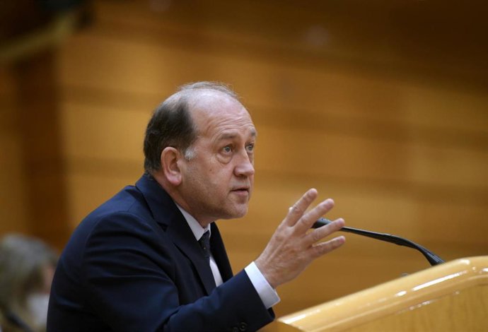 Archivo - Leiceaga en el Senado