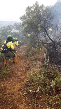 Incendio en El Garrobo