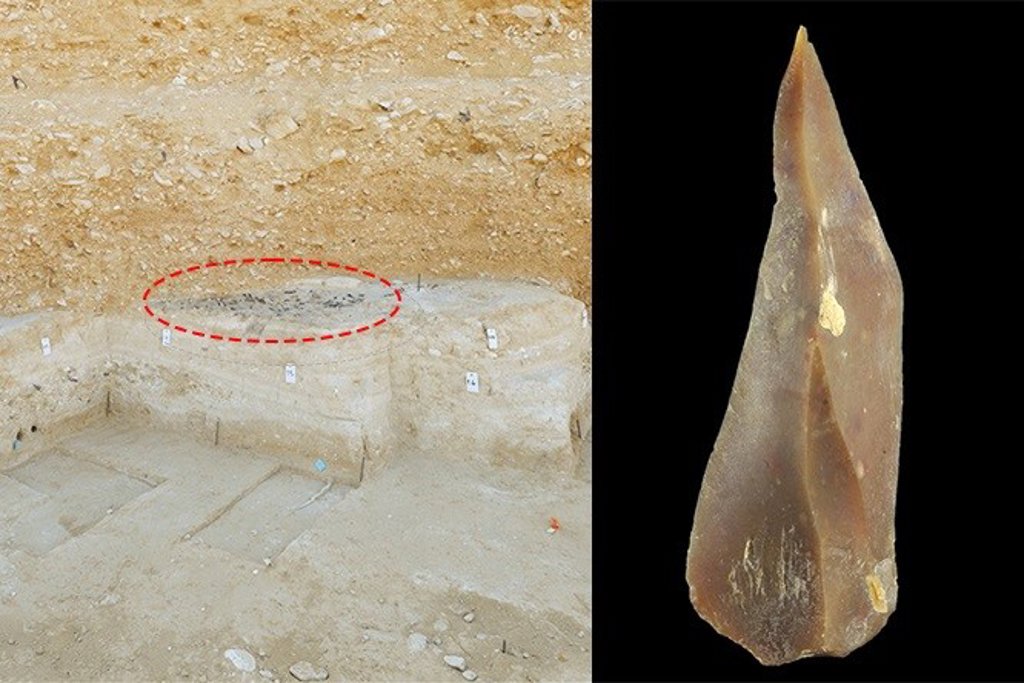 Neandertales y Homo Sapiens convivieron en el desierto del Negev - Vimarsana News