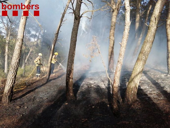 Dos bomberos trabajan en un incendio forestal en Querol (Tarragona).