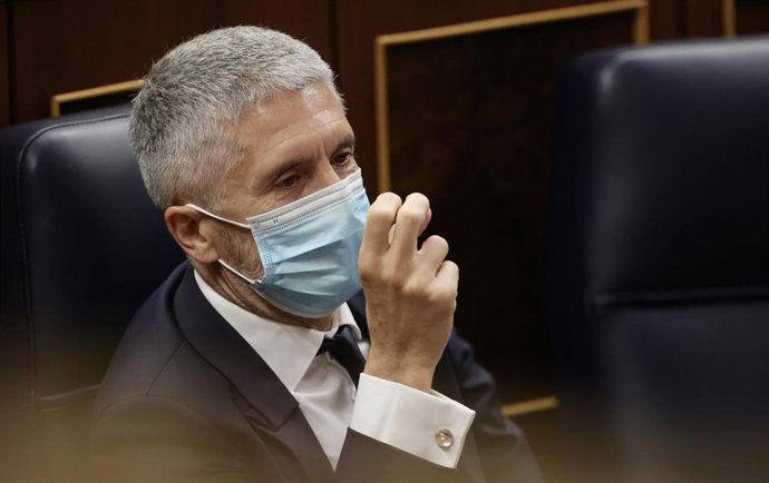 El ministro de Interior, Fernando Grande-Marlaska, en una sesión de control al Gobierno.